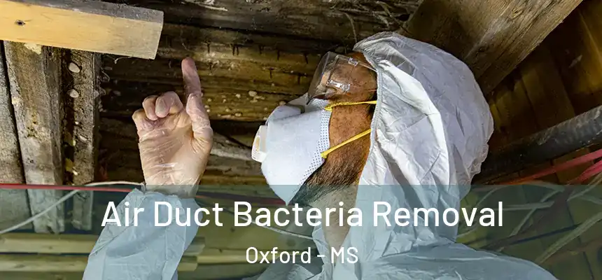  Air Duct Bacteria Removal Oxford - MS