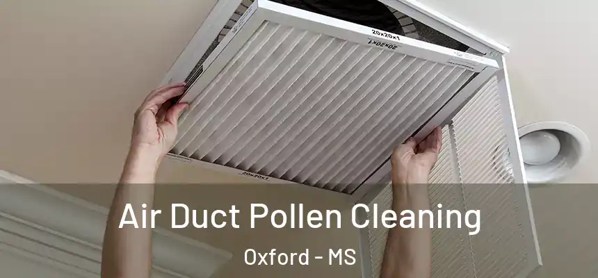  Air Duct Pollen Cleaning Oxford - MS