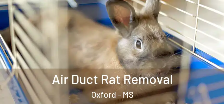  Air Duct Rat Removal Oxford - MS