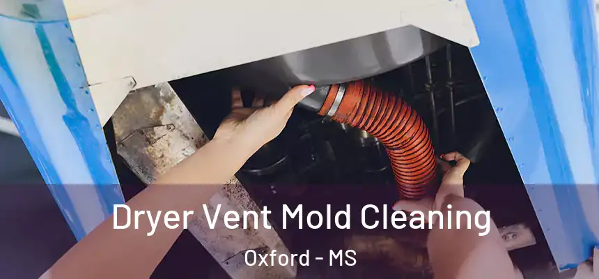  Dryer Vent Mold Cleaning Oxford - MS