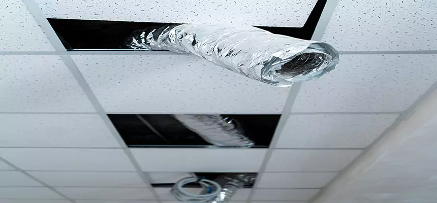 Affordable HVAC Sanitizing After Pest Removal in Oxford