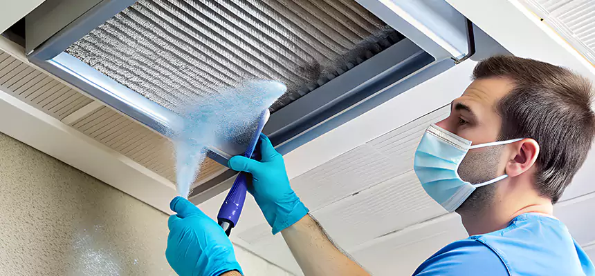 Proactive Dryer Vent & Auxiliary Duct Pollen Cleanup in Oxford, MS