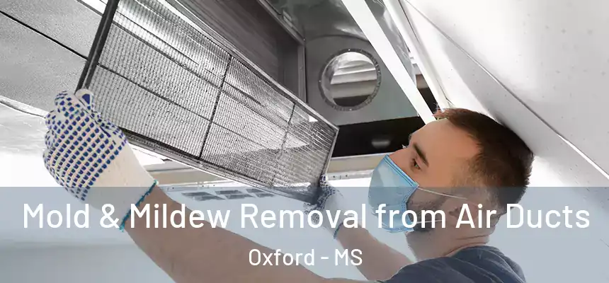  Mold & Mildew Removal from Air Ducts Oxford - MS
