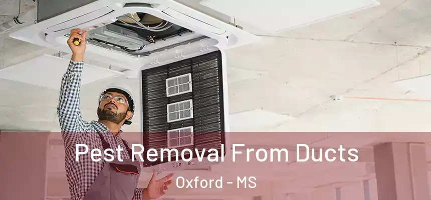  Pest Removal From Ducts Oxford - MS