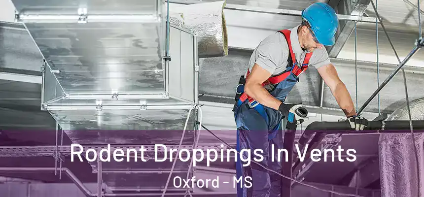 Rodent Droppings In Vents Oxford - MS