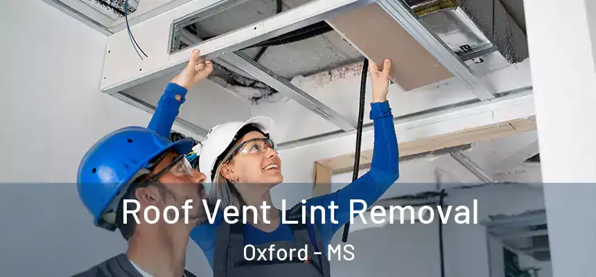  Roof Vent Lint Removal Oxford - MS