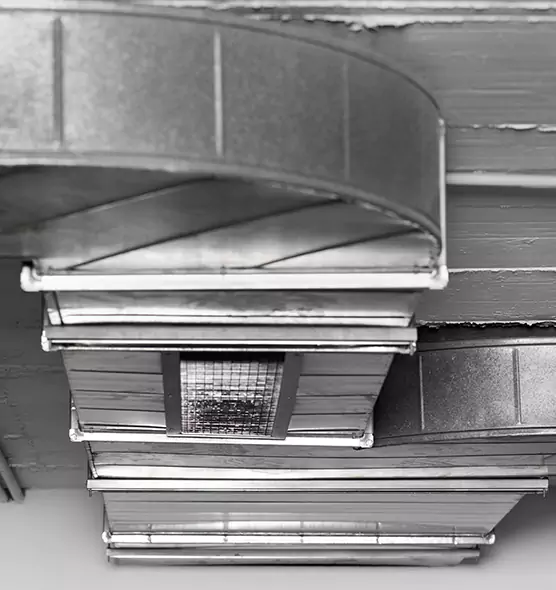 Professional Air Duct Pet Hair Removal in Oxford, MS