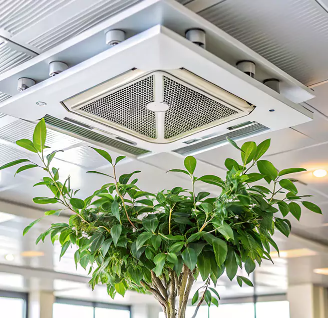 Why Homeowners & Businesses Trust Us in Oxford, MS?