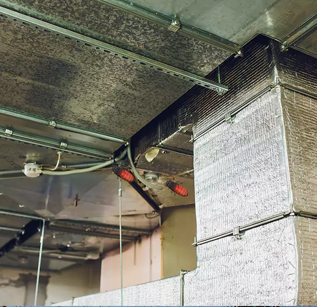 Why Homeowners & Businesses Trust Us Oxford, MS?